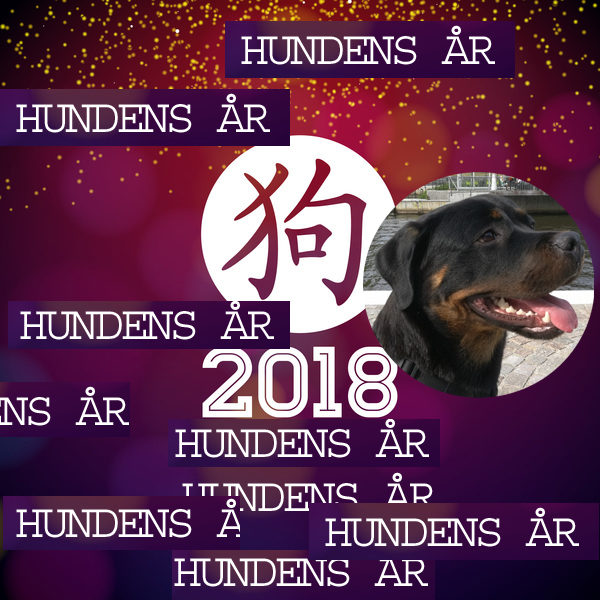 Hundens år 2018_Läs mer på www.euroresor.se